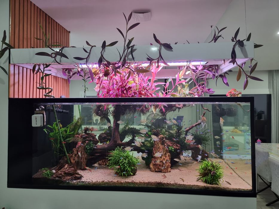 Aquario 140x85x60 mais sump
