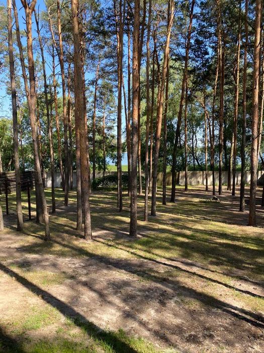 Продам будинок на березі водосховища. с. Гавронщина