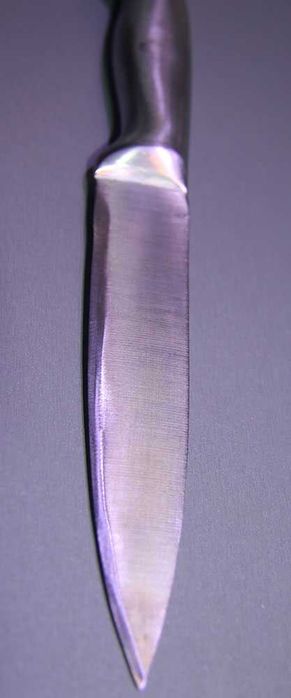 Fackelmann Nirosta Nóż 15/28 cm Stal nierdzewna Srebrny
