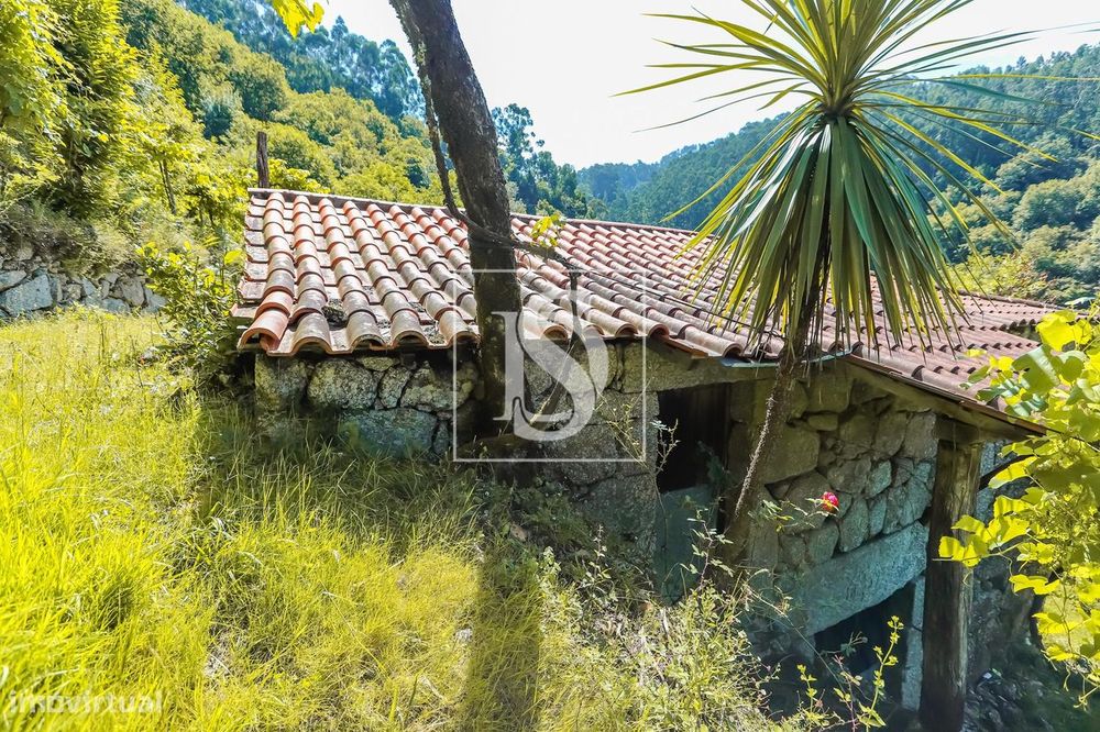 Moradia para Restaurar T2 Venda em Carvalheira,Terras de Bouro