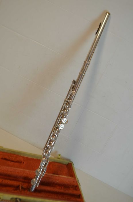 Flauta transversal Arlly Flhhrt-Ind N.01