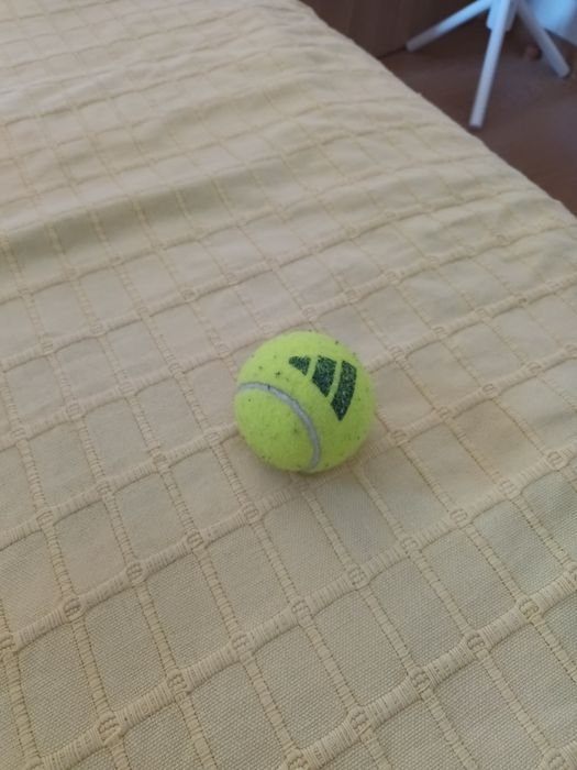 Bola tenis adidas