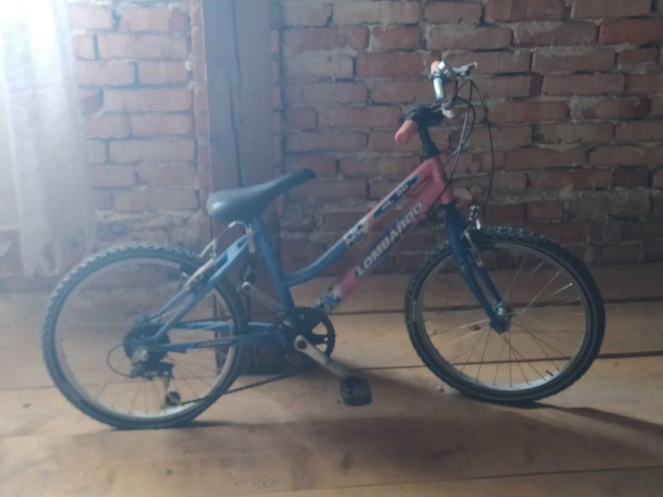 Велосипед спортивний двоколісний