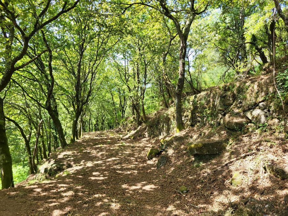 Terreno no Gerês com Ruína e Mina 3 Artigos 8.100m²