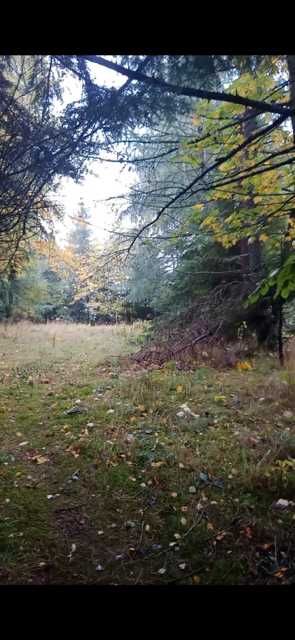 Widokowa  działka 609 m 2, Skawica, Sucha Góra koło Zawoi/dojazd, media w drodze - View 2