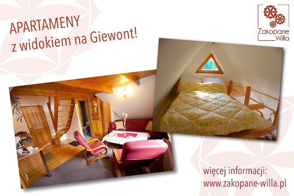 Apartamenty i tanie pokoje blisko centrum z widokiem na góry