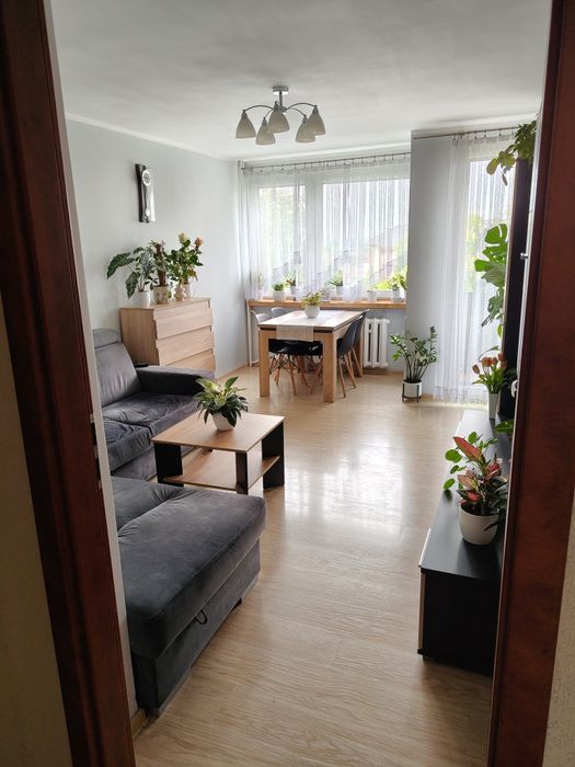 REZERWACJA Mieszkanie 3 pokojowe, ul. Damrota