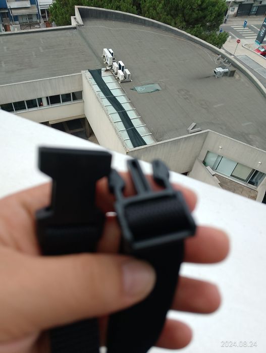 Trela extensível e açaime