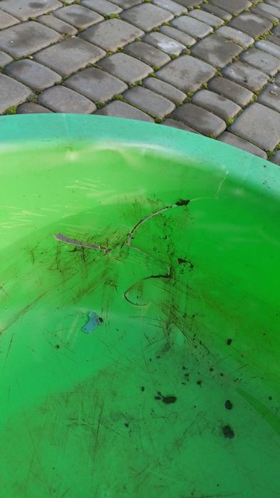 Пісочниця-басейн(Велике яблуко 25*116*100)