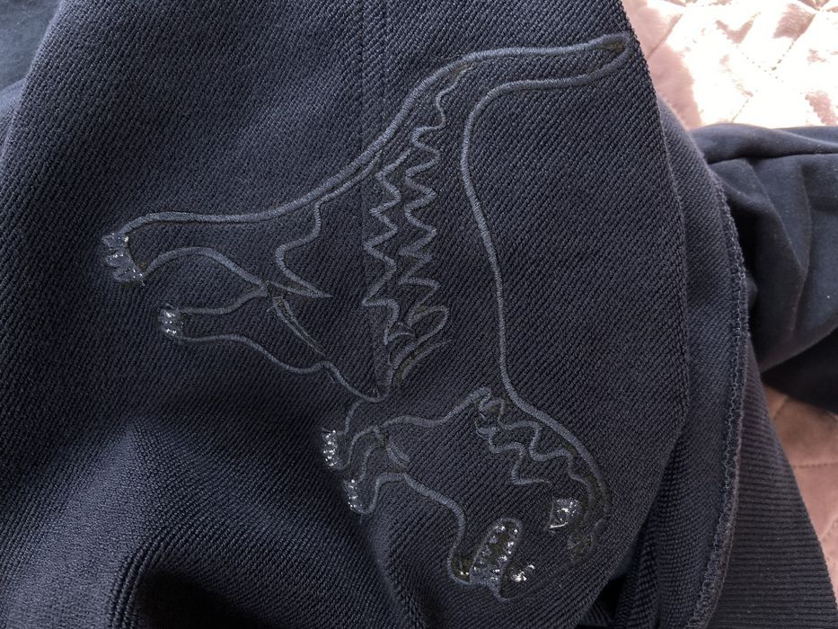 Худи Coach Rexy NEW