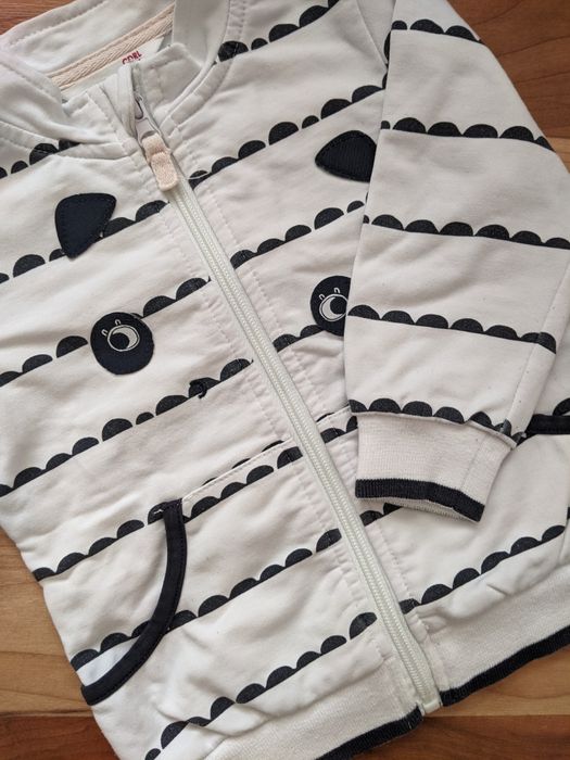 Bluza Coccodrillo
