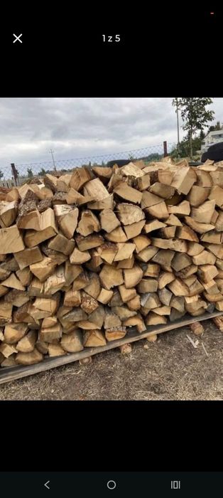 Sucha sosna polupana