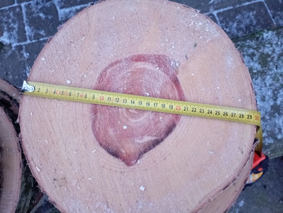 Plastry z brzozy, krążki drewna