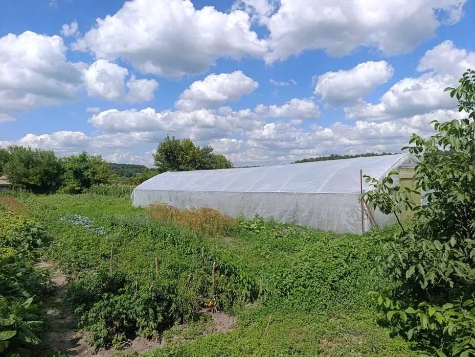 Продаж будинку в с.Ковтуни,Золотоніського  району.