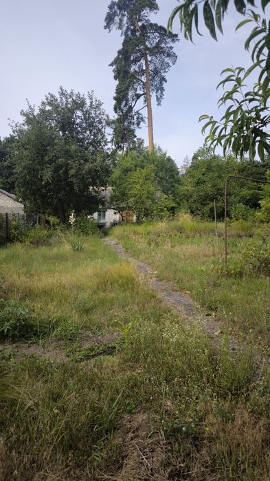 Продаж маленького будиночка та земельної ділянки в Соснівці