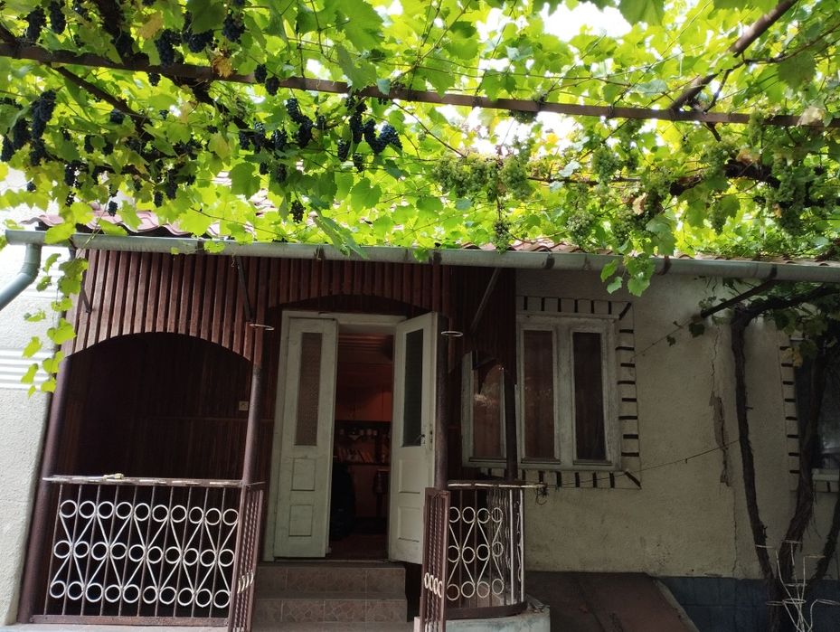 Продам дом Закарпатье Берегуйфолу