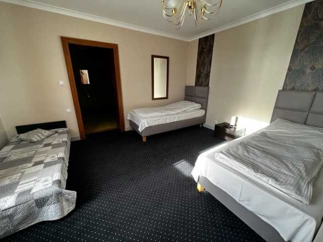 Dezynfekcja, dezynsekcja, deratyzacja, ozonowanie, pranie - Warszawa