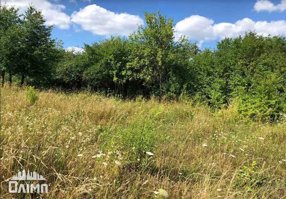 Продам земельну ділянку (8387)