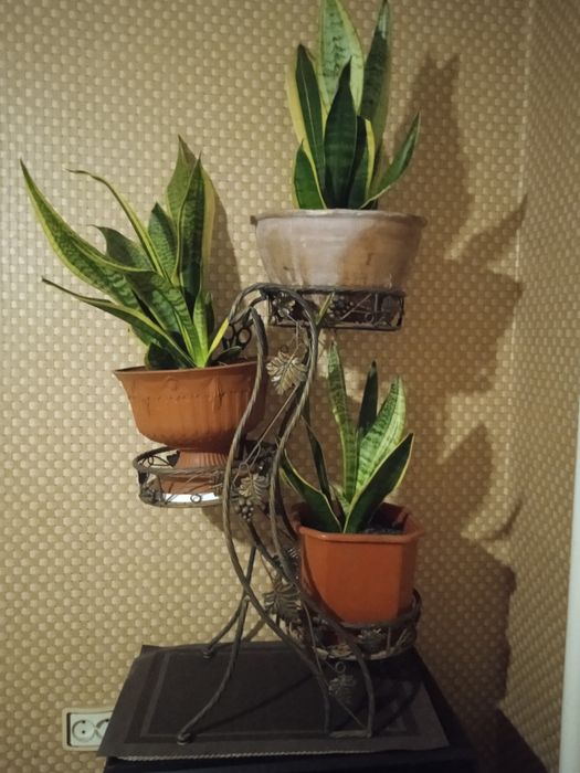 Кована підставка под квіти