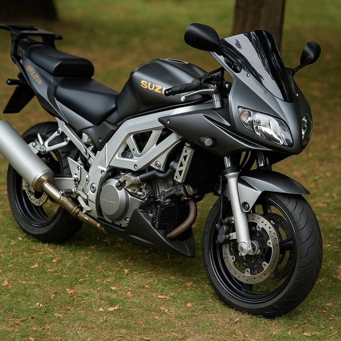 Suzuki SV1000S  2003