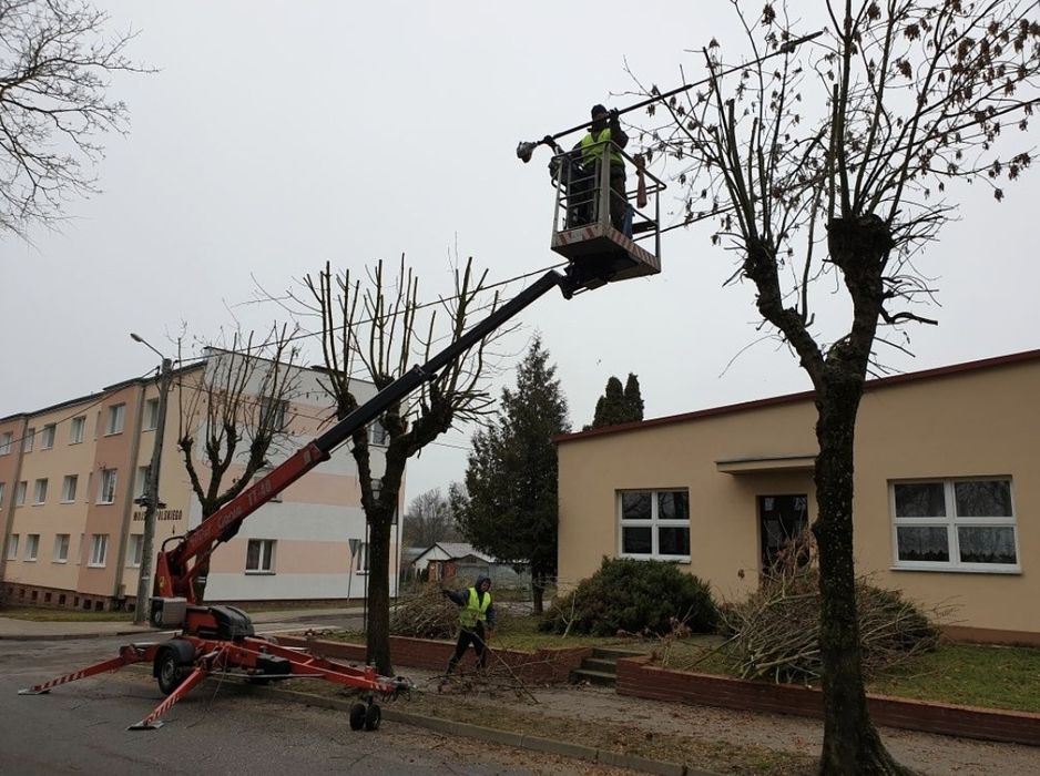 Wycinka drzew trudnych, wycinka drzew metodą alpinistyczną