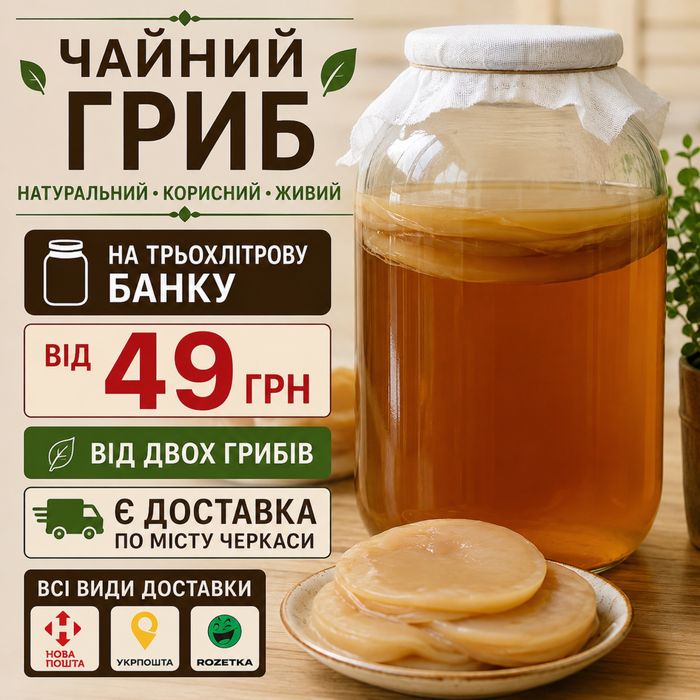 Чайний гриб, комбуча, гриб комбуча, чайний гриб SCOBY, гриб для комбучі, гриб для напою, комбуча гриб, культура комбучі, Черкаси , купити
