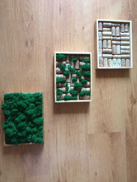 Obraz / kompozycja z mchu chrobotka i korków po winie