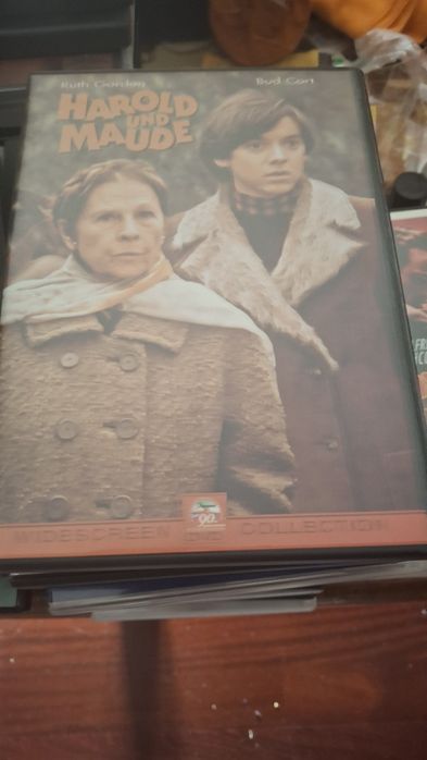 Harold and Maude DVD cinema clássico