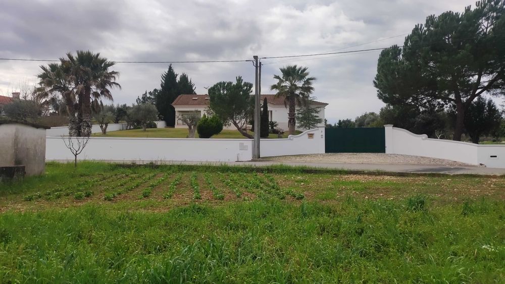 Terreno para Construção em Tomar (Minjoelho) – 2200m² – Excelente