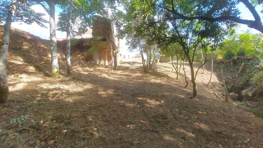 Terreno com casa em ruinas