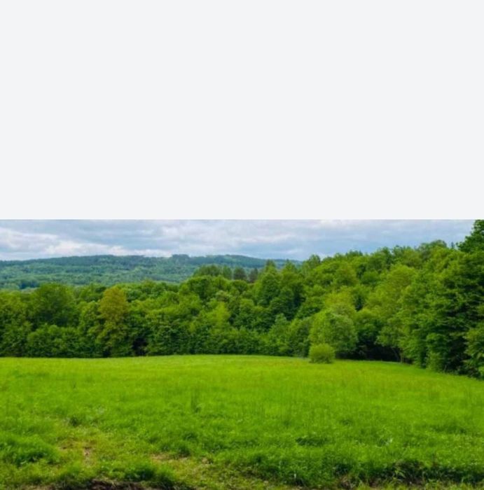 Działka rolna w Bieszczadach