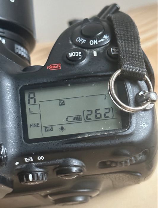 Nikon d700 legendary sensor