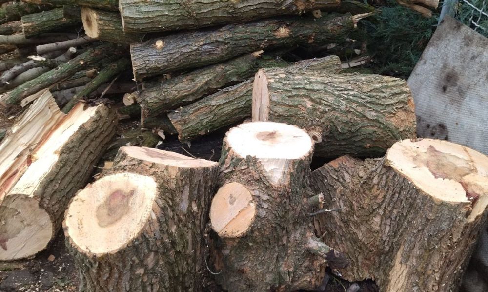 Продам дрова, метровые.