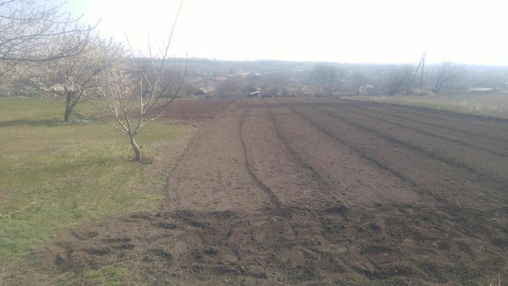 Земельна ділянка в селі Бережинка