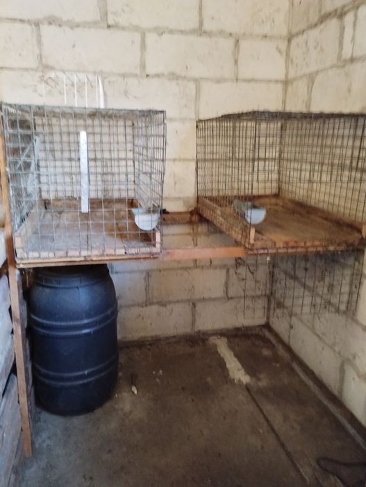 Klatki dla królików z wyposażeniem