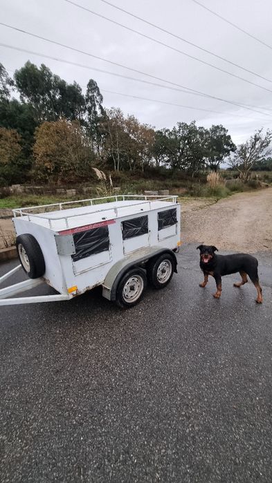 Atrelado Reboque Cães