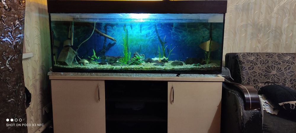 Аквариум 550 л с крышкой