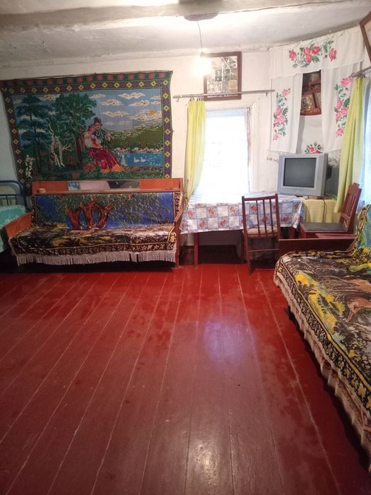 Продаж будинку у селі Друцьке