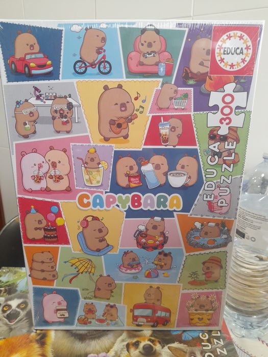 Puzzles Infantis Usados/Novos