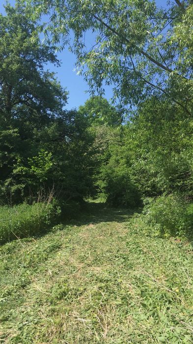 Działki rolne + siedlisko – Łopiennik Dolny-Kolonia 7,2ha