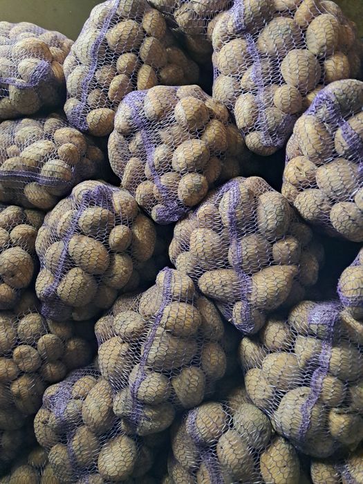 Картопля коннект .