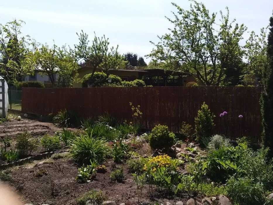 Mata / maty ozdobne wiklinowe. 150cm x 300cm