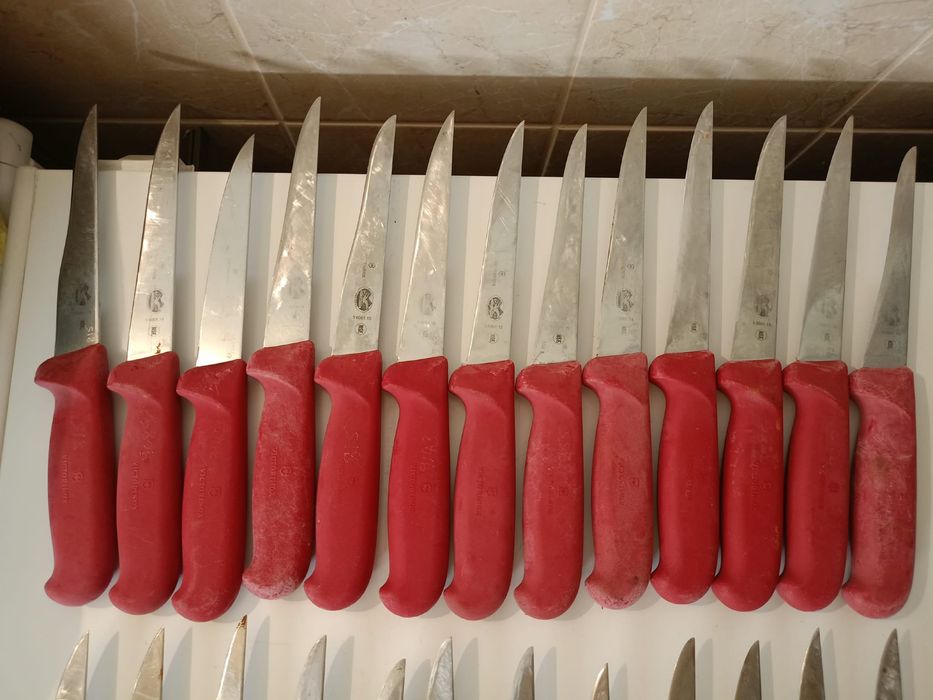 Noże Victorinox masarskie Caribou
