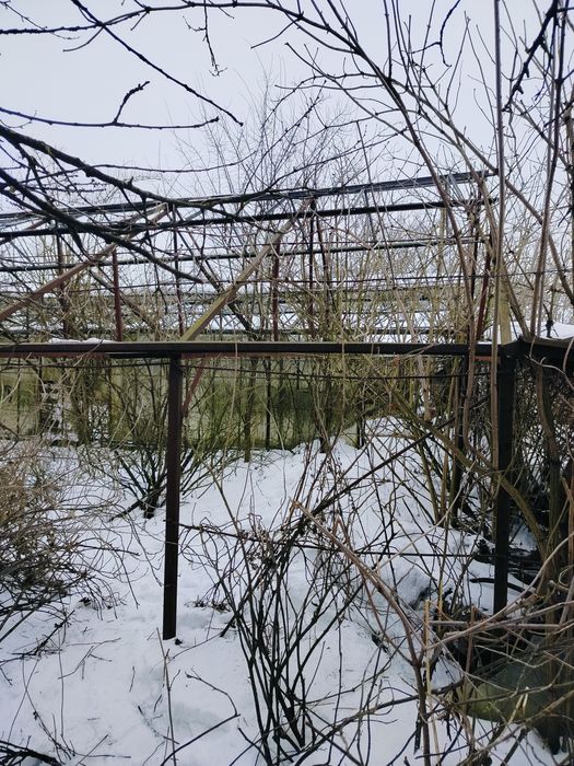 Теплиця саморобна