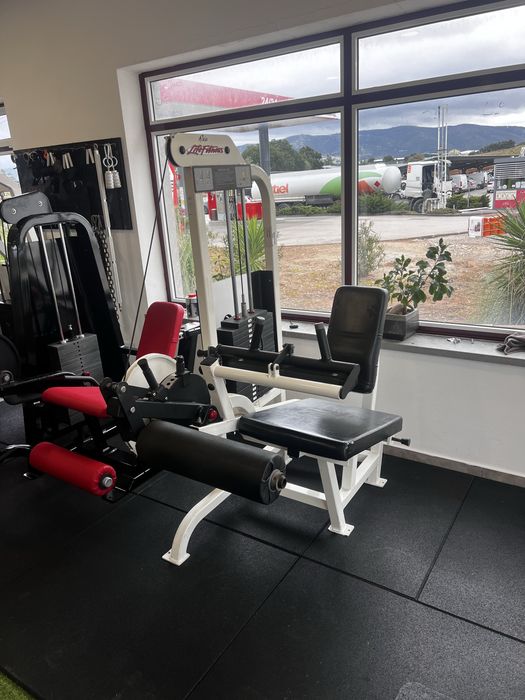 Life fitness pro 1 leg curl