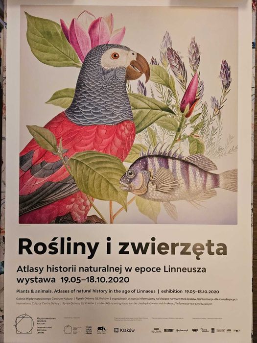 Plakat - Rośliny i zwierzęta w epoce Linneusza (MCK)