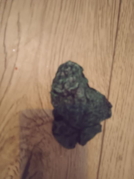 Terarium z lekkim wyposażeniem