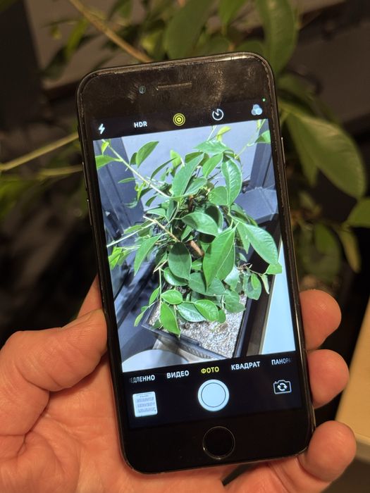 iPhone 7 32 Gb ОРИГИНАЛ