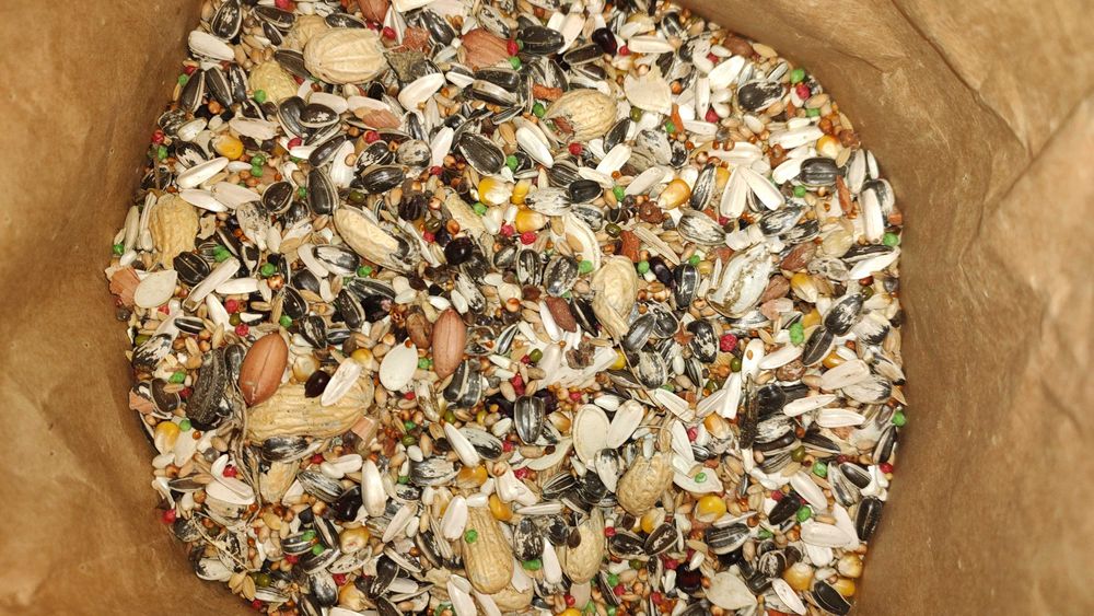 Karma dla Papug średnich + Papug Dużych Kampol 20 kg