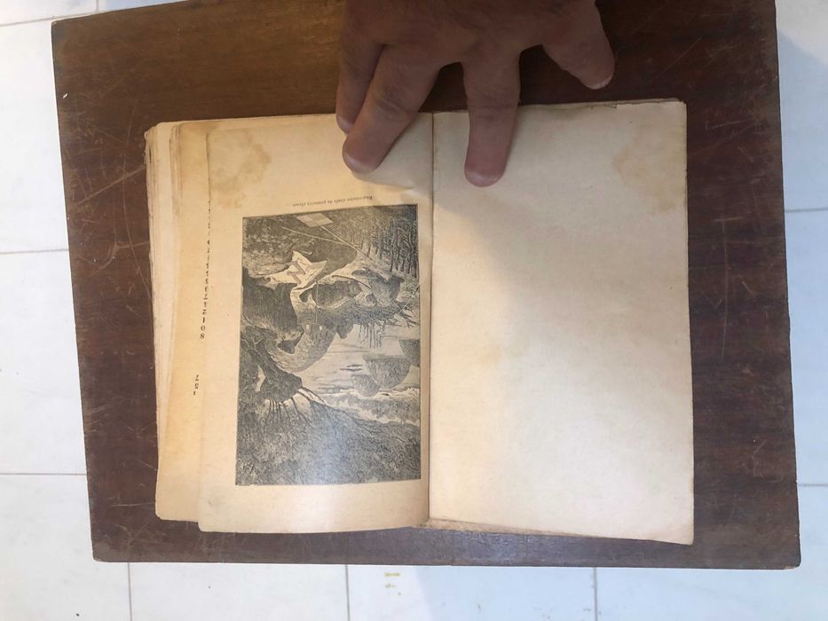 Histórias de animaes